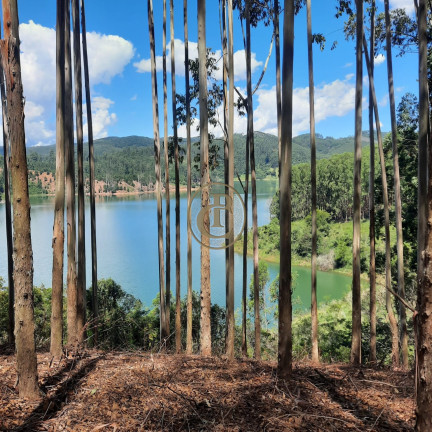 Imagem Fazenda à Venda, 100 m² em Lagoa - Paraibuna