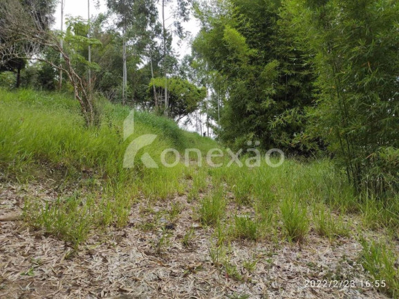 Imagem Chácara com 3 Quartos à Venda, 200 m² em Macaco - Paraibuna Imagem Chácara com 3 Quartos à Venda, 200 m² em Macaco - Paraibuna