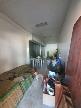 Imagem Casa com 4 Quartos à Venda, 250 m² em Cidade Nova - Manaus Imagem Casa com 4 Quartos à Venda, 250 m² em Cidade Nova - Manaus