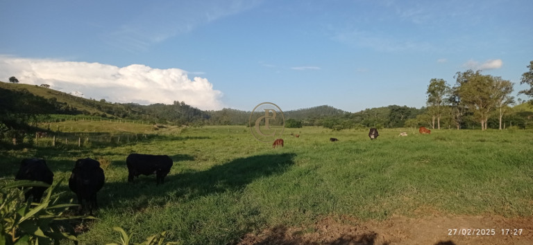 Imagem Fazenda à Venda, 1.010.000 m² em Jardim São Dimas - São José Dos Campos
