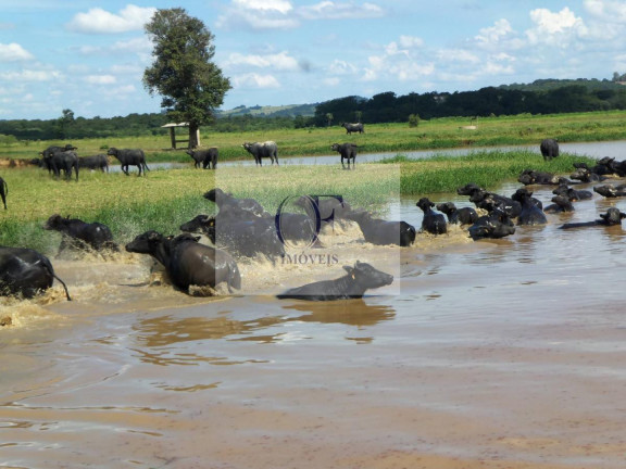 Imagem Fazenda à Venda, 297 m² em Rural - Santana Do Itararé
