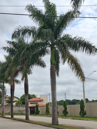 Imagem Terreno à Venda, 265 m² em Sorocaba - Sorocaba Imagem Terreno à Venda, 265 m² em Sorocaba - Sorocaba