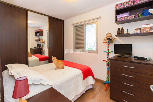 Imagem Apartamento com 3 Quartos à Venda, 65 m² em Aclimação - São Paulo Imagem Apartamento com 3 Quartos à Venda, 65 m² em Aclimação - São Paulo