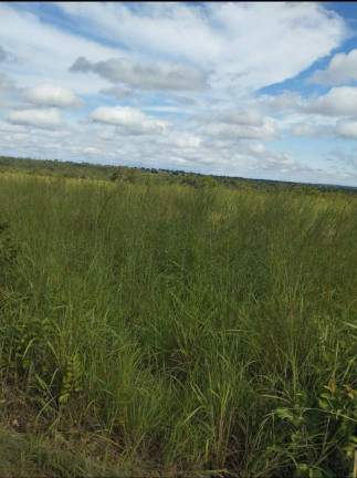 Imagem Fazenda à Venda, 2.000 m² em Cuiabá Imagem Fazenda à Venda, 2.000 m² em Cuiabá