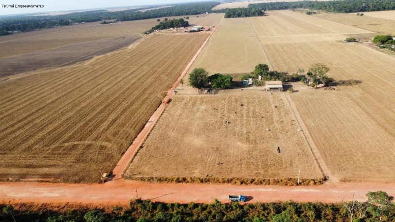 Imóvel à Venda,  em Rural - Sinop
