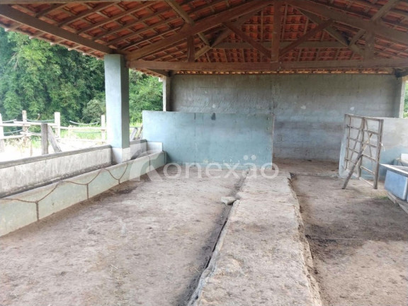 Imagem Chácara com 1 Quarto à Venda, 300 m² em Bairro Marambaia - Caçapava Imagem Chácara com 1 Quarto à Venda, 300 m² em Bairro Marambaia - Caçapava