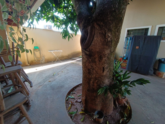 Imagem Casa com 3 Quartos à Venda, 212 m² em Parque Flamboyant - Aparecida De Goiania Imagem Casa com 3 Quartos à Venda, 212 m² em Parque Flamboyant - Aparecida De Goiania