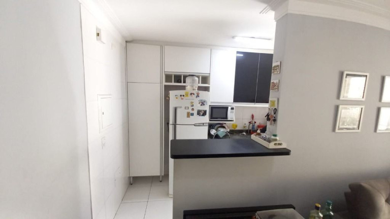 Imagem Apartamento com 3 Quartos à Venda, 77 m² em Butantã - São Paulo Imagem Apartamento com 3 Quartos à Venda, 77 m² em Butantã - São Paulo