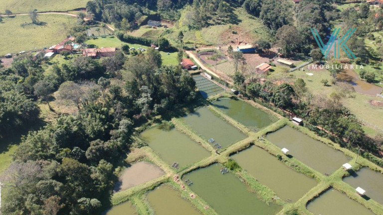 Imagem Fazenda à Venda, 430.000 m² em Centro - Itapeva