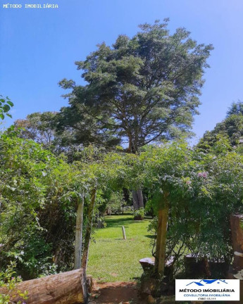 Imagem Chácara com 3 Quartos à Venda, 5.000 m² em Rural - Ibiúna Imagem Chácara com 3 Quartos à Venda, 5.000 m² em Rural - Ibiúna