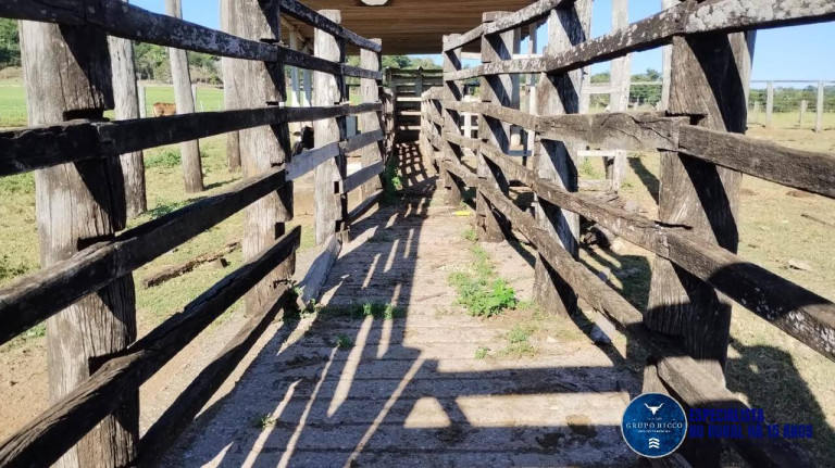 Imagem Fazenda à Venda, 92 m² em Zona Rural - Jaupaci Imagem Fazenda à Venda, 92 m² em Zona Rural - Jaupaci