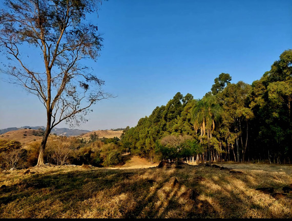 Imagem Chácara à Venda, 3 m² em Vargem Grande Do Sul Imagem Chácara à Venda, 3 m² em Vargem Grande Do Sul