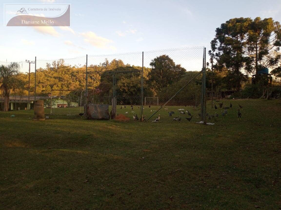 Imagem Chácara com 3 Quartos à Venda, 11.000 m² em Mãe Dos Homens - Bragança Paulista Imagem Chácara com 3 Quartos à Venda, 11.000 m² em Mãe Dos Homens - Bragança Paulista