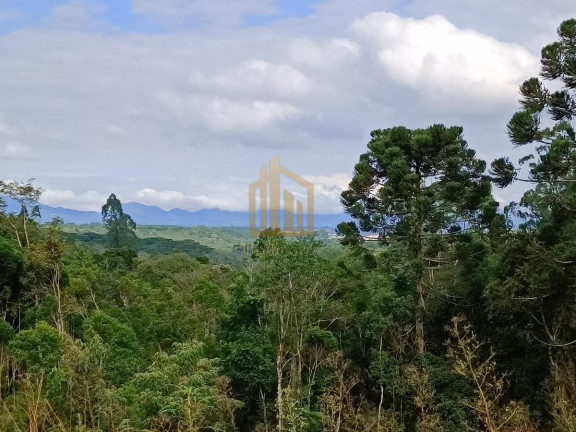 Imagem Chácara com 4 Quartos à Venda, 86.748 m² em São Dimas - Colombo