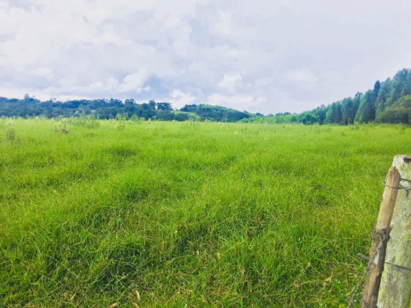 Imagem Chácara à Venda, 9 m² em Area Rural De Avaré - Avaré Imagem Chácara à Venda, 9 m² em Area Rural De Avaré - Avaré