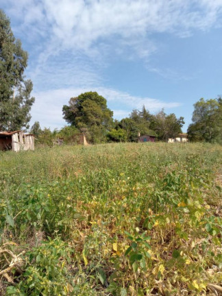 Imagem Imóvel com 3 Quartos à Venda, 130.000 m² em Cantagalo - Antônio Olinto Imagem Imóvel com 3 Quartos à Venda, 130.000 m² em Cantagalo - Antônio Olinto