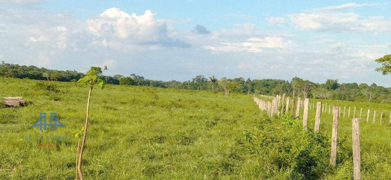 Imagem Fazenda à Venda, 2.190.000 m² em Alça Viaria - Acará Imagem Fazenda à Venda, 2.190.000 m² em Alça Viaria - Acará
