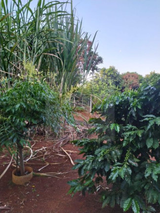 Imagem Imóvel com 2 Quartos à Venda, 100 m² em Zona Rural - Ibiporã