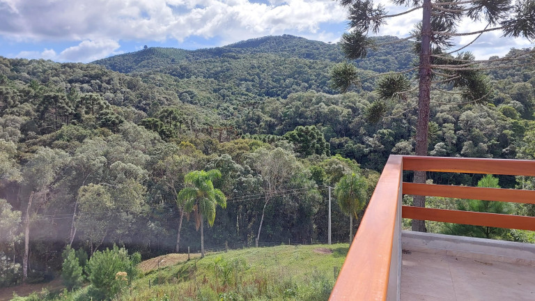 Imagem Chácara com 6 Quartos à Venda, 1 m² em Felpudo - Campo Largo Imagem Chácara com 6 Quartos à Venda, 1 m² em Felpudo - Campo Largo