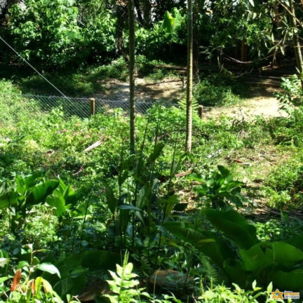 Imagem Terreno à Venda, 1.560 m² em Enseada - Ubatuba Imagem Terreno à Venda, 1.560 m² em Enseada - Ubatuba