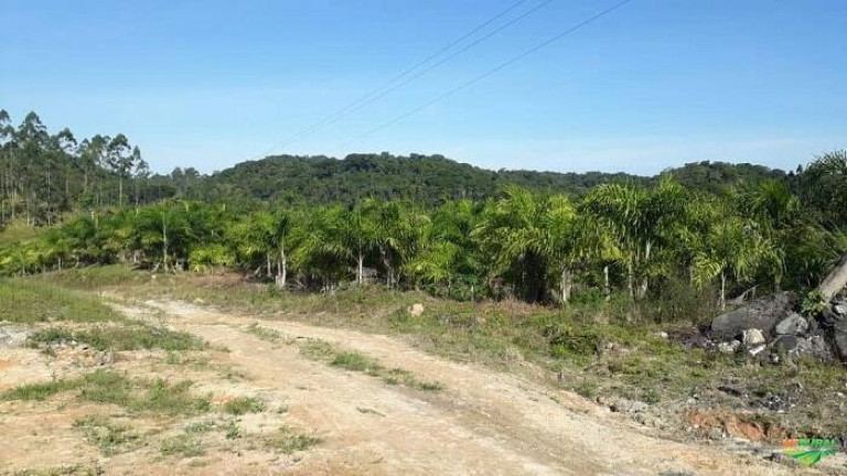 Imagem Chácara com 2 Quartos à Venda, 531 m² em Centro - Sete Barras Imagem Chácara com 2 Quartos à Venda, 531 m² em Centro - Sete Barras