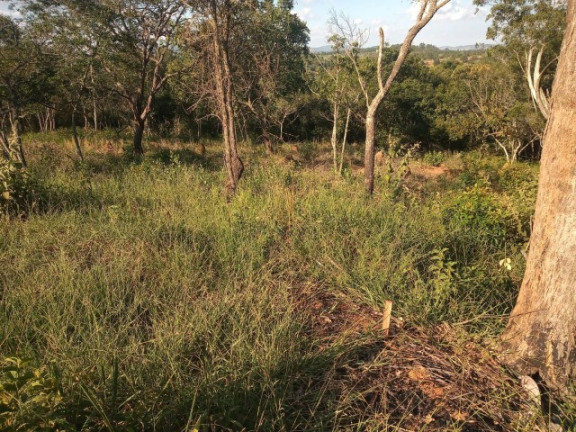 Imagem Terreno para Alugar ou Temporada, 5.000 m² em Sitio Primavera - Jarinu Imagem Terreno para Alugar ou Temporada, 5.000 m² em Sitio Primavera - Jarinu