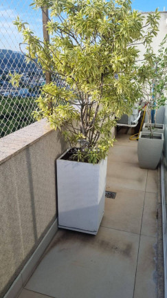 Imagem Cobertura com 3 Quartos à Venda, 170 m² em Barra Olímpica - Rio De Janeiro Imagem Cobertura com 3 Quartos à Venda, 170 m² em Barra Olímpica - Rio De Janeiro