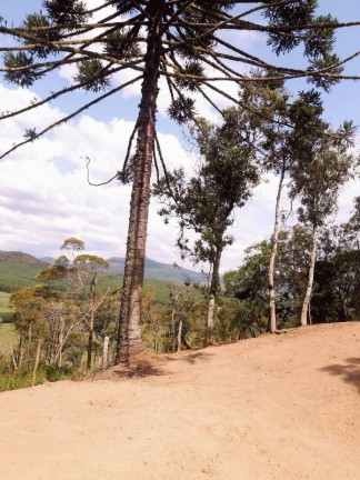 Imagem Imóvel à Venda, 28.900 m² em Zona Rural - Bom Retiro Imagem Imóvel à Venda, 28.900 m² em Zona Rural - Bom Retiro