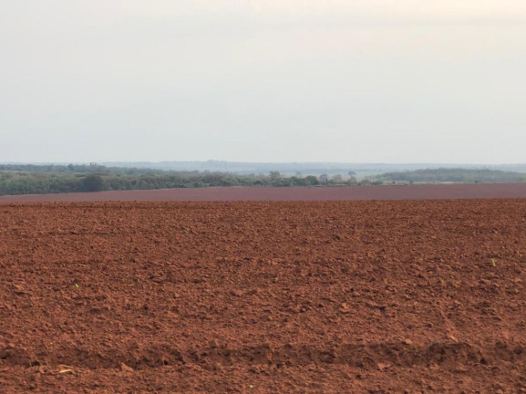 Imagem Fazenda à Venda, 351 m² em Rural - Rancharia Imagem Fazenda à Venda, 351 m² em Rural - Rancharia