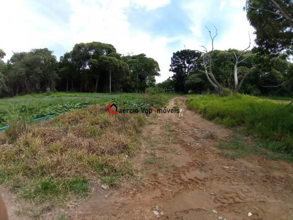 Imagem Imóvel com 2 Quartos à Venda, 133.100 m² em Ibiúna - Ibiúna Imagem Imóvel com 2 Quartos à Venda, 133.100 m² em Ibiúna - Ibiúna