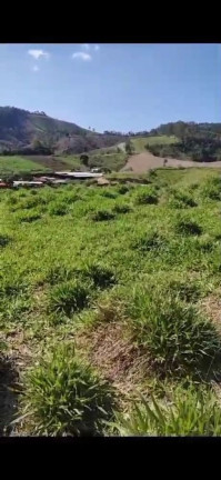 Imagem Terreno à Venda, 10.000 m² em Centro - Santa Branca