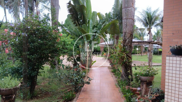 Imagem Chácara com 5 Quartos à Venda, 4.950 m² em Santo Antônio De Goiás