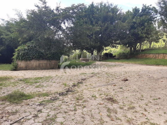 Imagem Fazenda à Venda, 600 m² em Pouso Alto - Natividade Da Serra Imagem Fazenda à Venda, 600 m² em Pouso Alto - Natividade Da Serra
