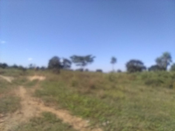 Imagem Fazenda à Venda, 1.200 m² em Rural - Corumbá