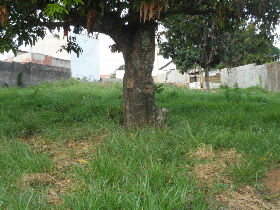 Imagem Imóvel à Venda, 4.100 m² em Lopes De Oliveira - Sorocaba Imagem Imóvel à Venda, 4.100 m² em Lopes De Oliveira - Sorocaba