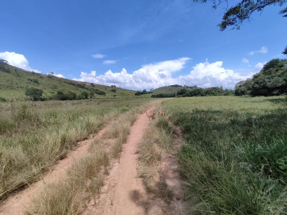 Imagem Fazenda à Venda, 150 m² em Nossa Senhora De Lourdes - São Lourenço Imagem Fazenda à Venda, 150 m² em Nossa Senhora De Lourdes - São Lourenço