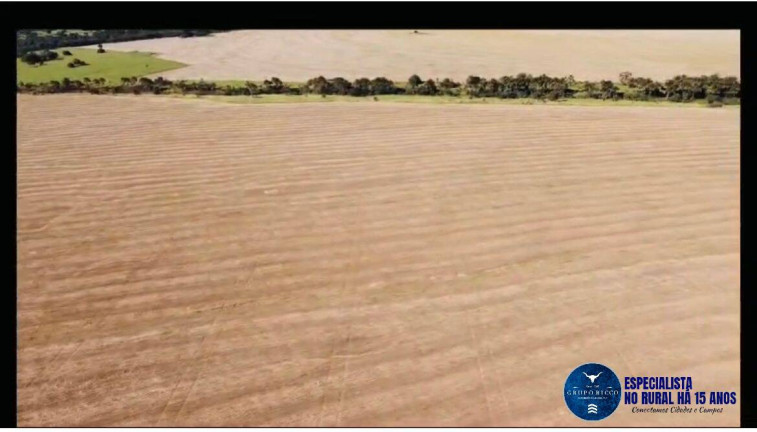 Imagem Fazenda à Venda, 60 m² em Zona Rural - Piranhas Imagem Fazenda à Venda, 60 m² em Zona Rural - Piranhas