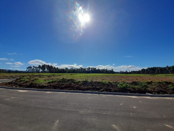 Imagem Terreno à Venda, 360 m² em Primeira Linha - Criciúma