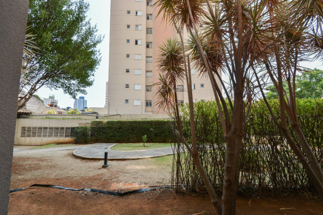 Imagem Apartamento com 2 Quartos à Venda, 46 m² em Chácara Califórnia - São Paulo Imagem Apartamento com 2 Quartos à Venda, 46 m² em Chácara Califórnia - São Paulo