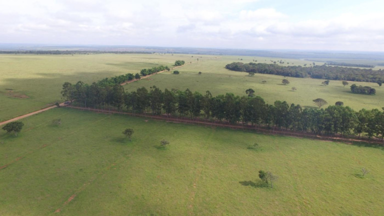 Imagem Fazenda à Venda, 3.400 m² em Rural - Campo Grande