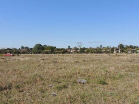 Imagem Terreno à Venda, 1.000 m² em Morro Grande - Viamão Imagem Terreno à Venda, 1.000 m² em Morro Grande - Viamão