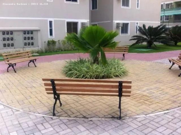 Imagem Apartamento com 3 Quartos à Venda, 60 m² em Piedade - Jaboatão Dos Guararapes Imagem Apartamento com 3 Quartos à Venda, 60 m² em Piedade - Jaboatão Dos Guararapes