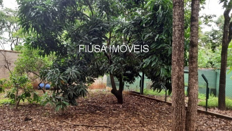 Imagem Imóvel à Venda, 5.000 m² em Itanhangá Chácaras De Recreio - Ribeirão Preto Imagem Imóvel à Venda, 5.000 m² em Itanhangá Chácaras De Recreio - Ribeirão Preto