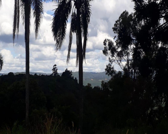 Imagem Imóvel à Venda, 391 m² em Pinhal Alto - Nova Petrópolis Imagem Imóvel à Venda, 391 m² em Pinhal Alto - Nova Petrópolis