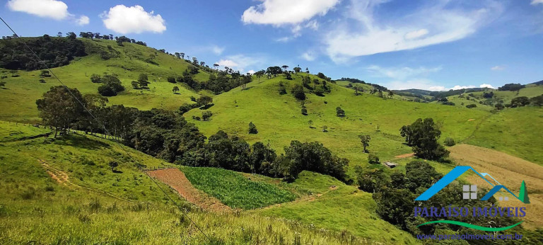 Imagem Chácara à Venda, 24 m² em Centro - Paraisópolis