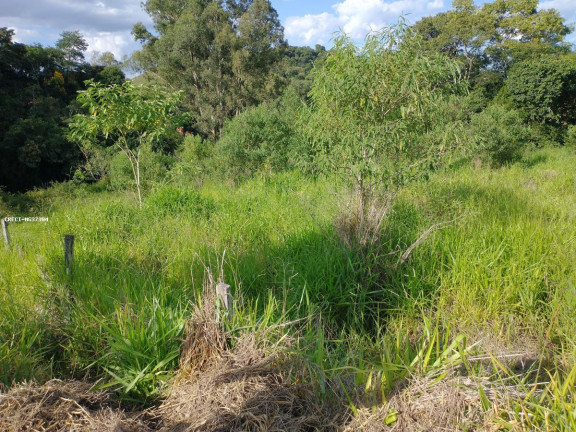 Imagem Chácara à Venda, 1.000 m² em Rio Verde - Caldas Imagem Chácara à Venda, 1.000 m² em Rio Verde - Caldas