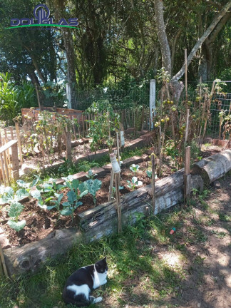 Imagem Casa com 2 Quartos à Venda, 750 m² em Viamão