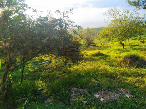 Imagem Terreno à Venda, 1.000 m² em Parque Das Garças - Guaratinguetá Imagem Terreno à Venda, 1.000 m² em Parque Das Garças - Guaratinguetá