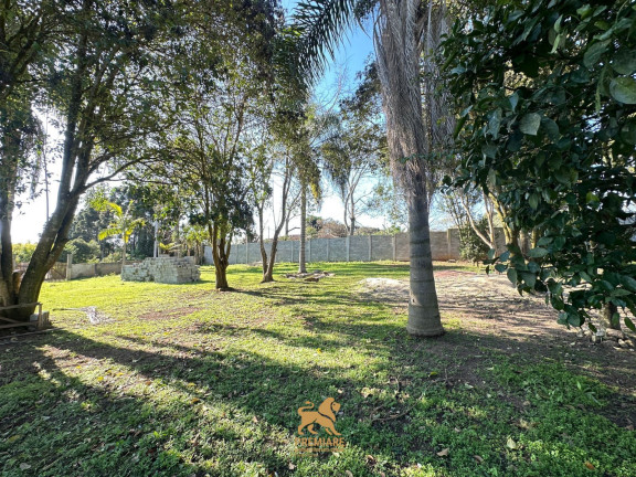 Imagem Terreno à Venda, 2.000 m² em Colônia Dona Luíza - Ponta Grossa Imagem Terreno à Venda, 2.000 m² em Colônia Dona Luíza - Ponta Grossa
