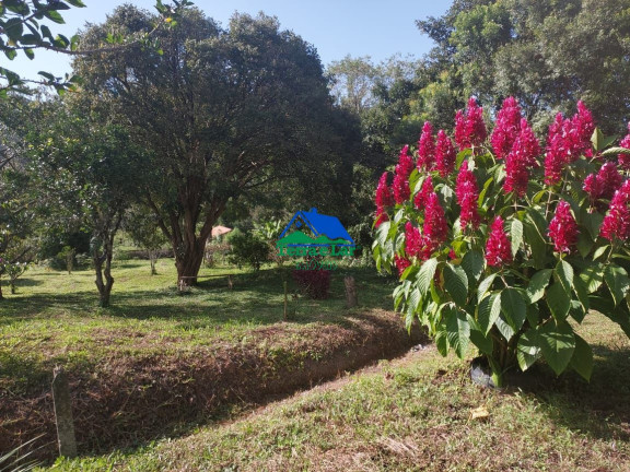 Imagem Imóvel com 4 Quartos à Venda, 10 m² em Zona Rural - Carvalhos Imagem Imóvel com 4 Quartos à Venda, 10 m² em Zona Rural - Carvalhos